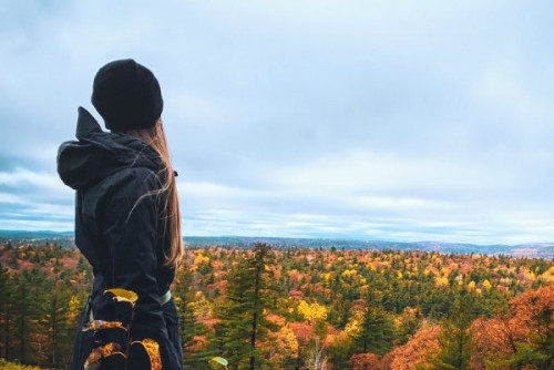 Fall Colours Chairlift Rides-event-photo