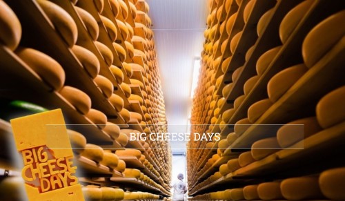Big Cheese Days