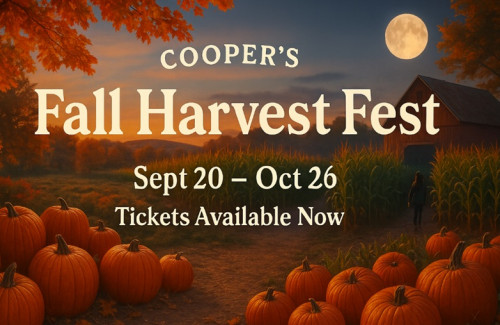 Cooper's Fall Harvest Fest-event-photo