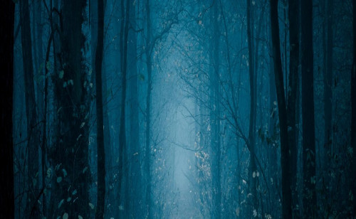 Night at the Creepy Creek-event-photo