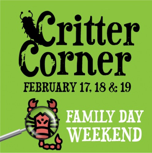 Critter Corner on Family Day Weekend!