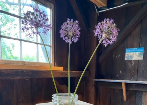 Woodworker's Apprentice Workshop: Jar Vase Holder-event-photo