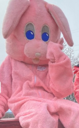 Easter Egg Hunt at Valleyview Farm-event-photo