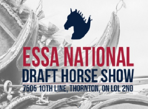 The Essa National Draft Horse Show