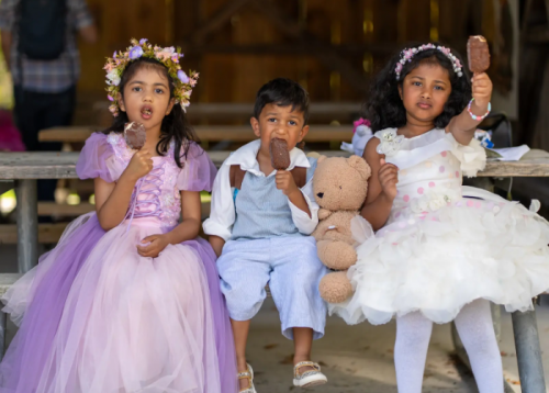 Pickering Fairy Tour-event-photo