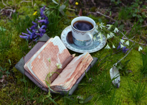 Enchanted Fairy Tea Party-event-photo