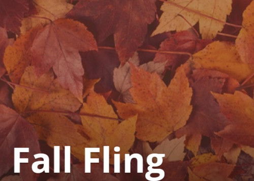 Fall Fling in Pickering-event-photo