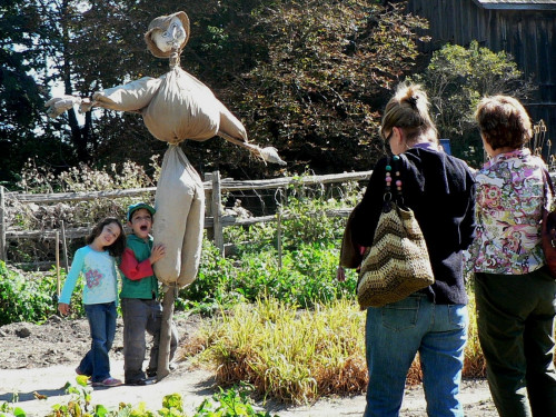 Fall Festival at Black Creek Pioneer Village-event-photo
