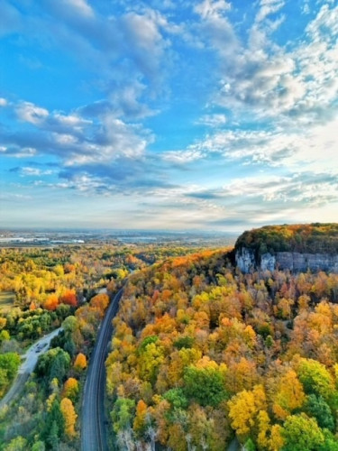 Fall Into Nature - Summer Fun Guide