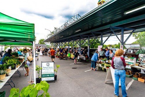 Front St Farmers’ Market starts (runs until Oct. 31)