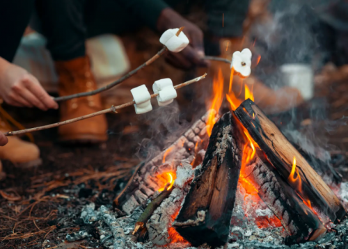 Saturday S'mores: Wilderness Wonders-event-photo