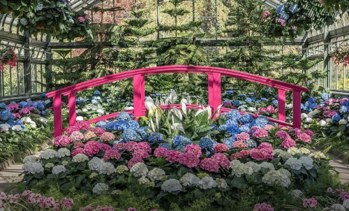 Floral Showhouse-event-photo