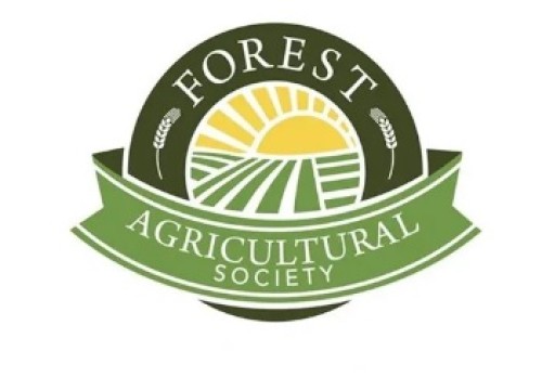 Forest Fall Fair-event-photo