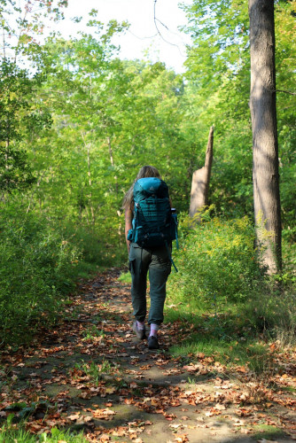 Sunday Forest Therapy?Walks-event-photo
