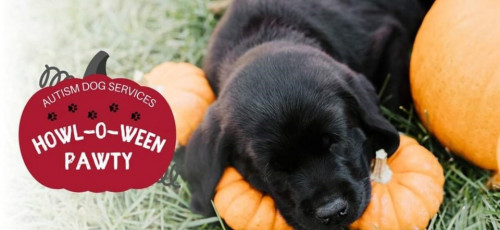 3rd Annual HOWL-0-WEEN Pawty-event-photo