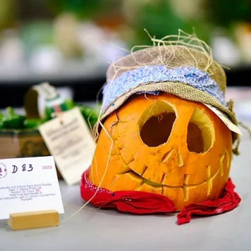 Huntsville Fall Fair-event-photo