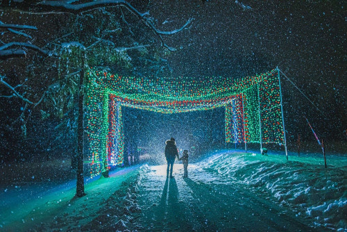 Ingersoll's Festival of Lights
