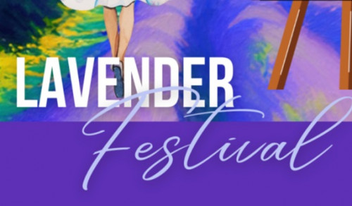 Serenity Lavender Festival-event-photo