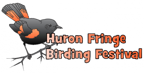 Huron Fringe Birding Festival-event-photo