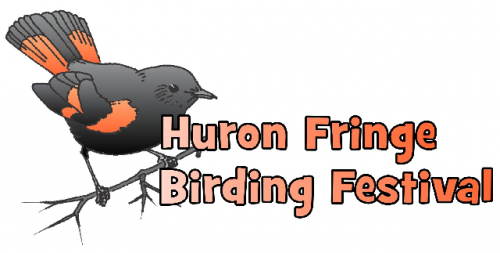 Huron Fringe Birding Festival