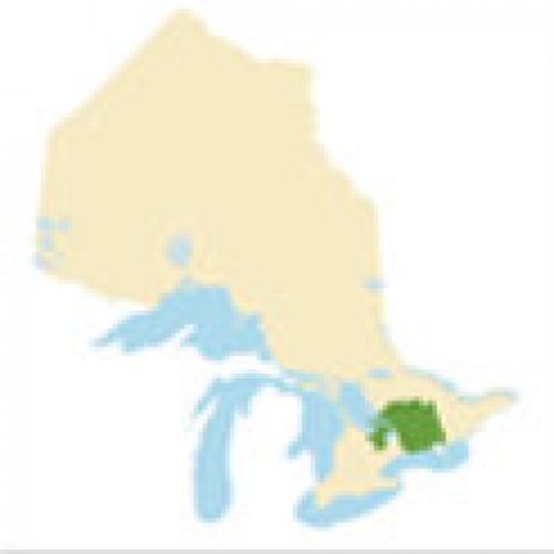 Central Ontario Region