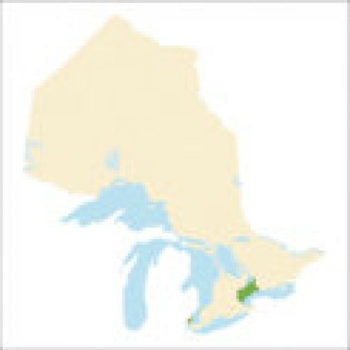 Greater Toronto Area Region