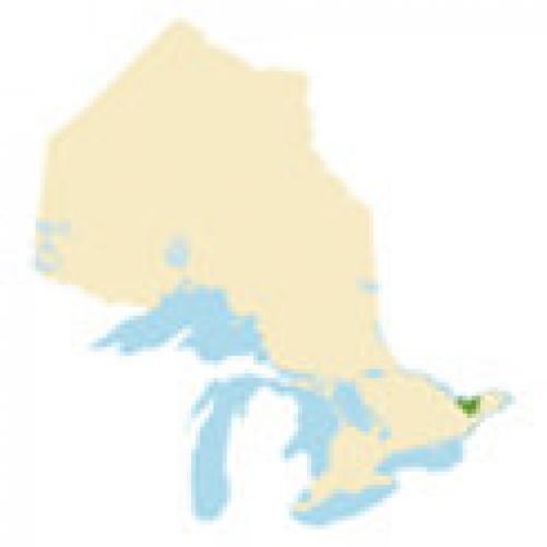 Ottawa Region Region