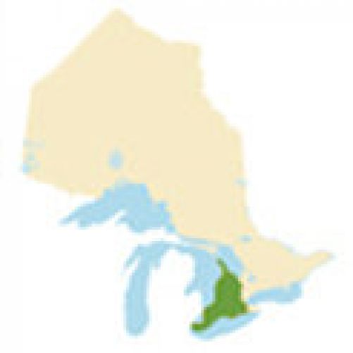 Southwestern Ontario Region