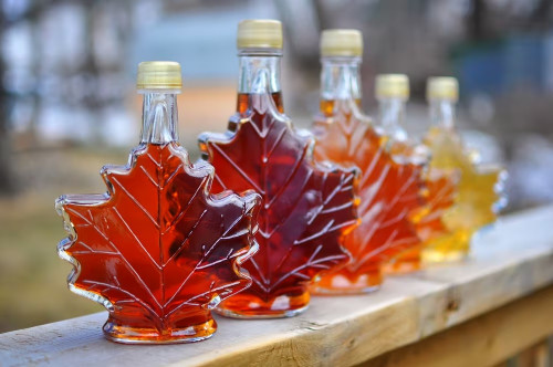 Springwater Maple Syrup Festival-event-photo
