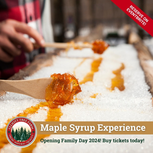 WEEKEND MAPLE SYRUP EXPERIENCE AT ELLIOTT TREE FARM-event-photo