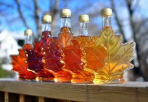 Maple Syrup in the Park