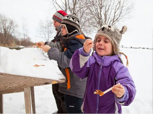 Maple Syrup Festival