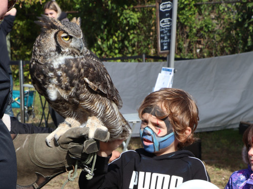 Kingsville Migration Festival-event-photo