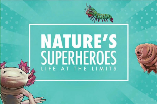Nature’s Superheroes: Life at the Limits-event-photo