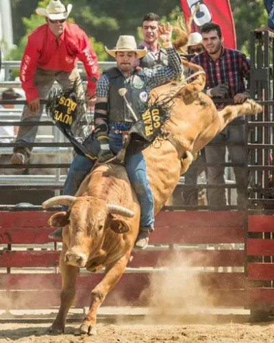 Norfolk Pro Rodeo & Country festival-event-photo