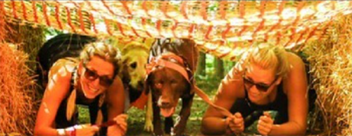 Ruff Mudder Canine Obstacle Adventure 2022