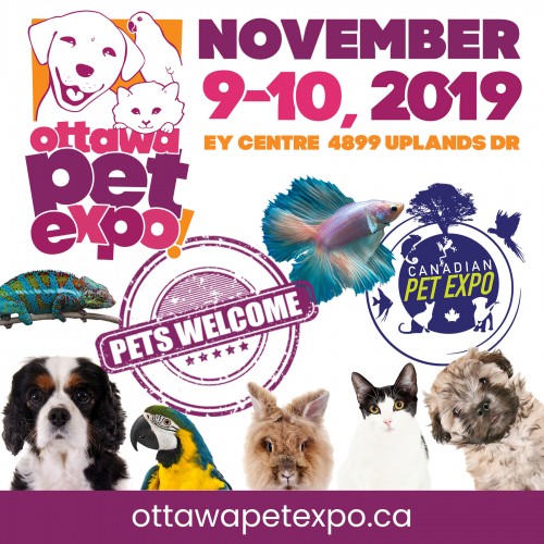 Ottawa Pet Expo