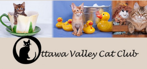 Ottawa Cat Show-event-photo