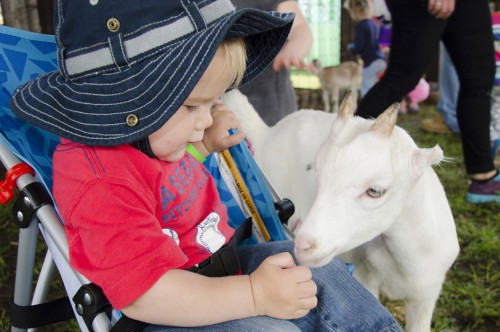 Wilberforce Agricultural Fair