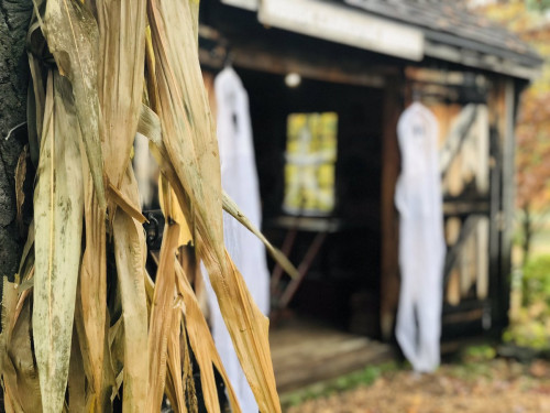 October Weekends at Scarborough Museum