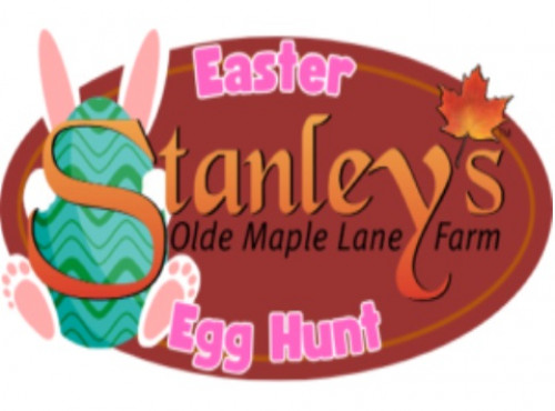 Easter Egg Hunt at Stanley's Olde Maple Lane Farm