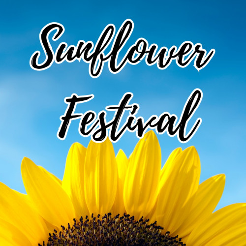 Sunflower Festival at Brantwood Farms