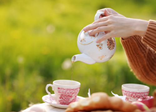 Teddy Bear Tea Party-event-photo