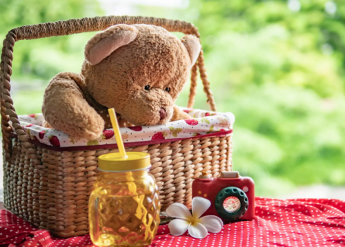 Teddy Bear Picnic-event-photo