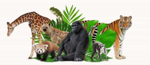 March Break at Your Toronto Zoo!