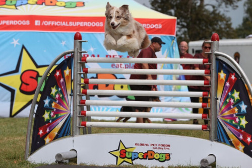 Uxbridge Fall Fair-event-photo