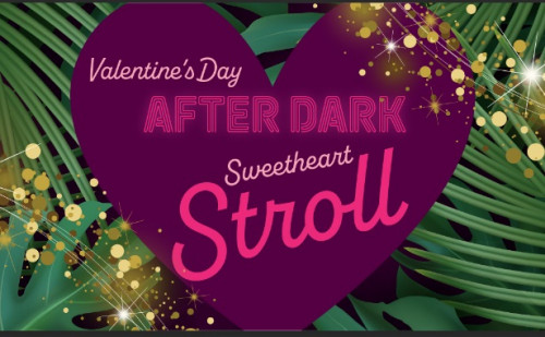 Valentine's Day After Dark Sweetheart Stroll