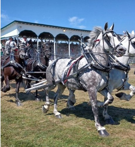 Vankleek Hill Fair-event-photo