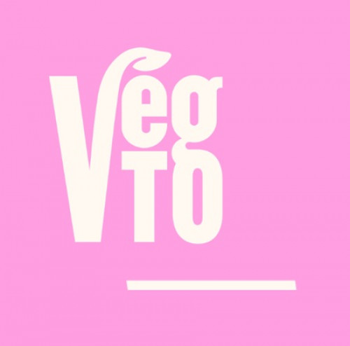 VegTO Fest-event-photo