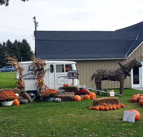 Waterford Pumpkinfest-event-photo